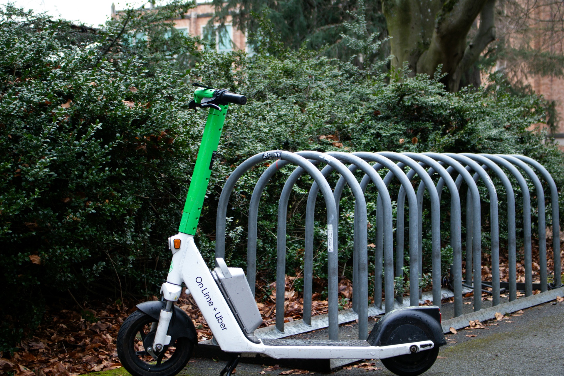 
      Scooter électrique : quelle assurance choisir ?
    