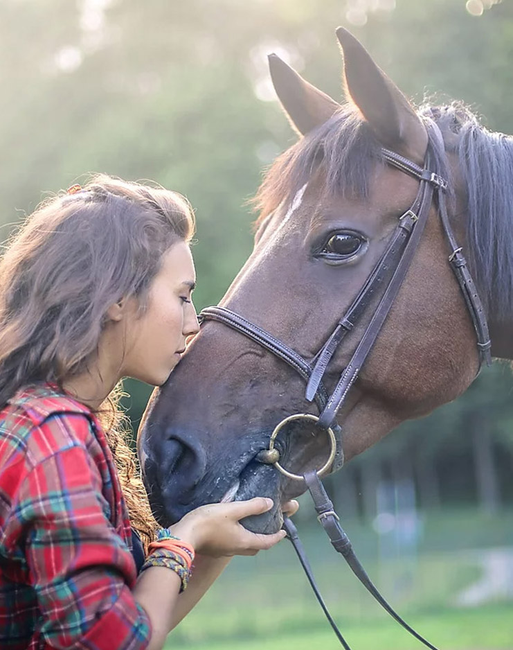 Equestre